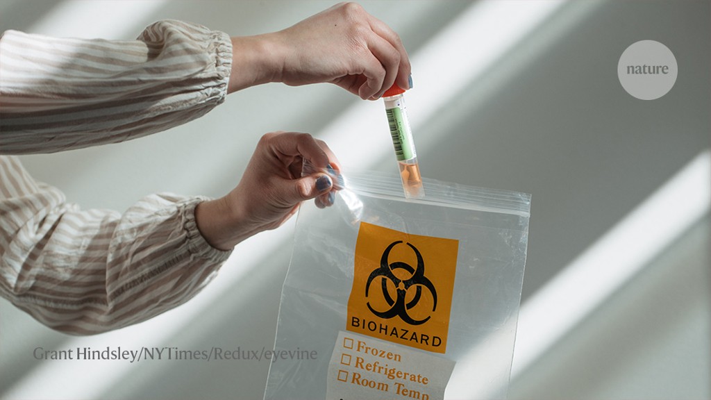 Scientists baffled by decision to stop a pioneering coronavirus testing project