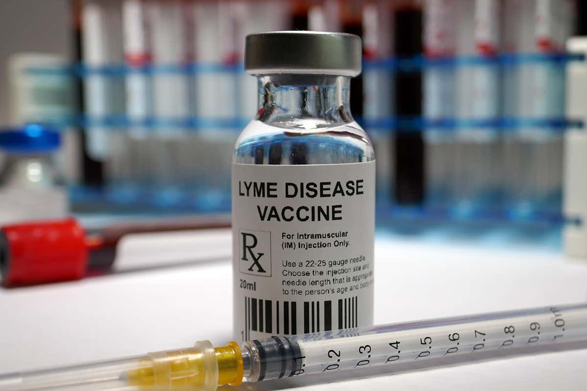 Lyme disease vaccine found to be safe and effective in clinical trial